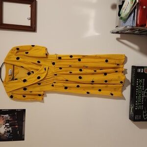 Sally Lou vintage dress